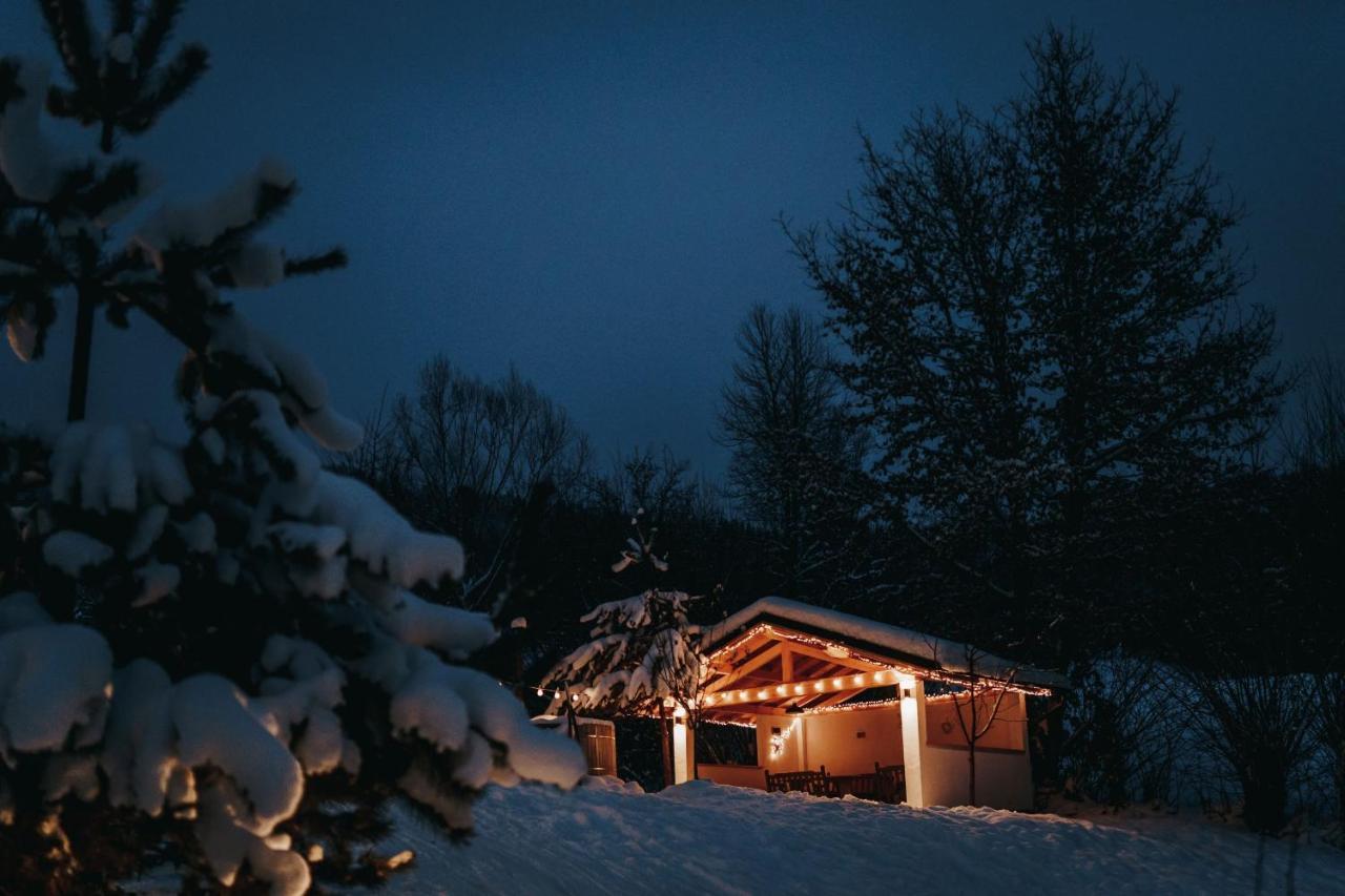Talhaus Vişeu de Sus Exterior foto